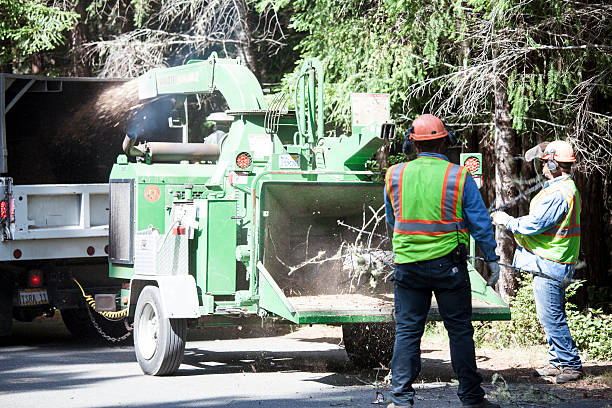 Seasonal Cleanup (Spring/Fall) in Rockland, ME